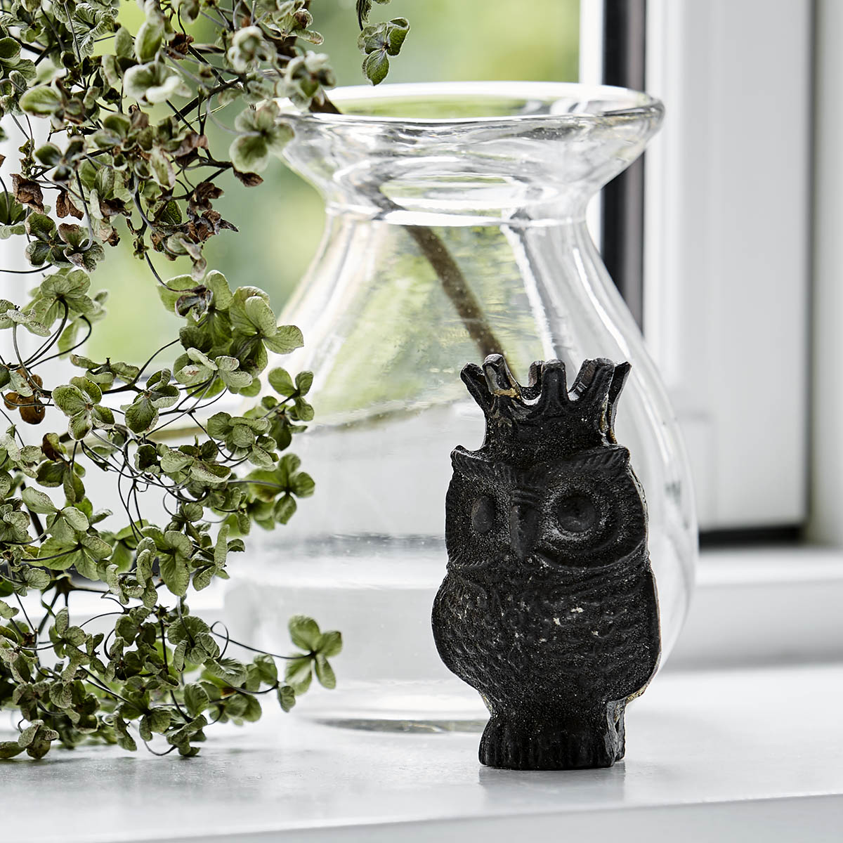 Wisdom Owl