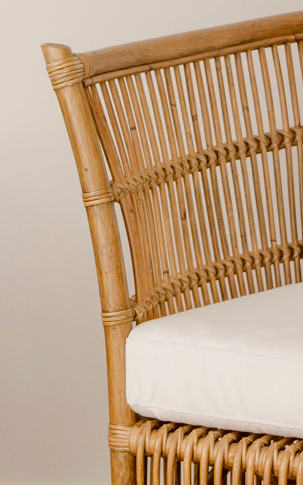 This is a close-up image of Donatello 2 Seater Sofa in antique rattan.