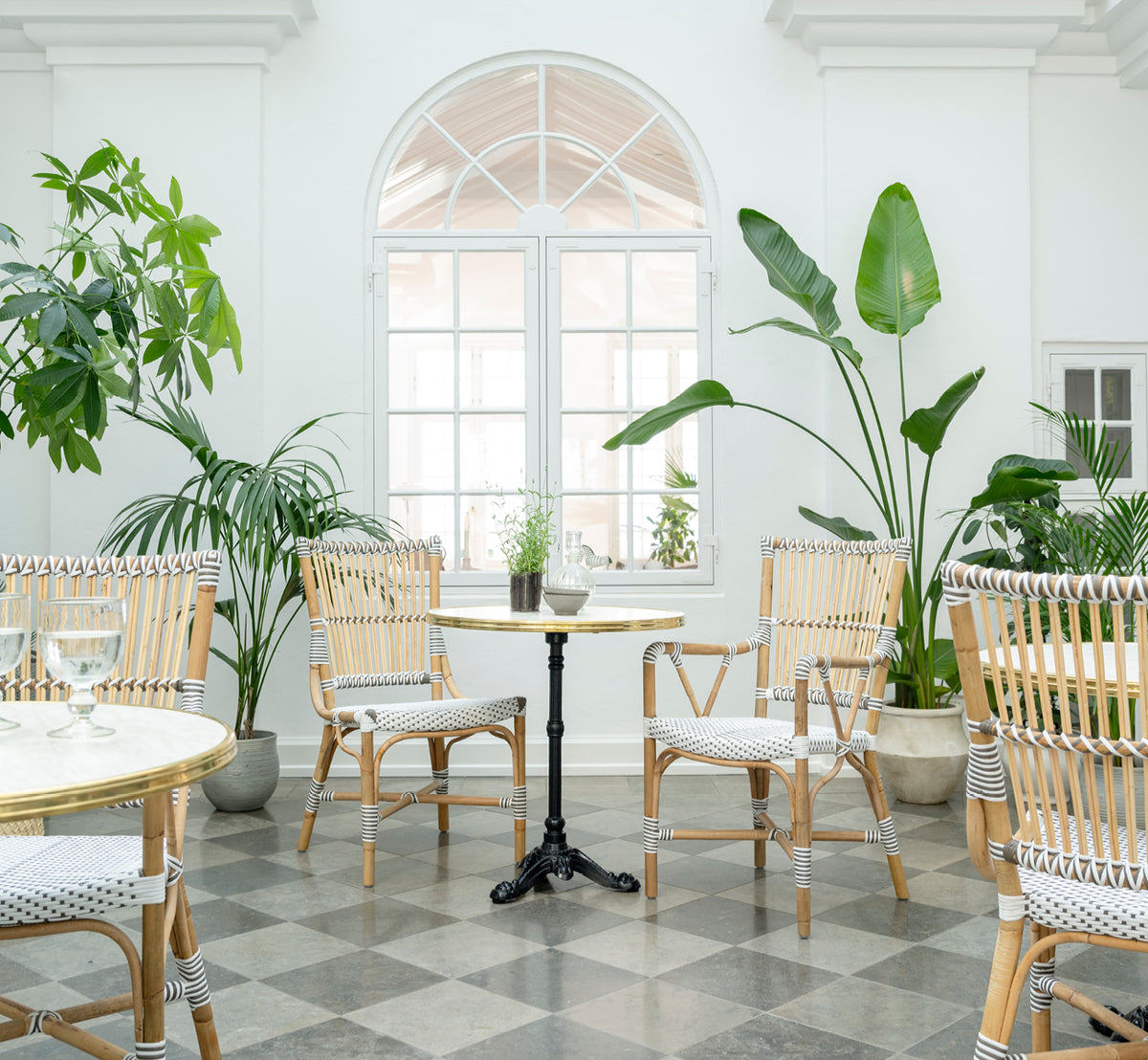 This is a lifestyle image of Monique Dining Armchair in white w cappuccino dot artfibre skin on rattan frame. Styled in a bright interior setting.