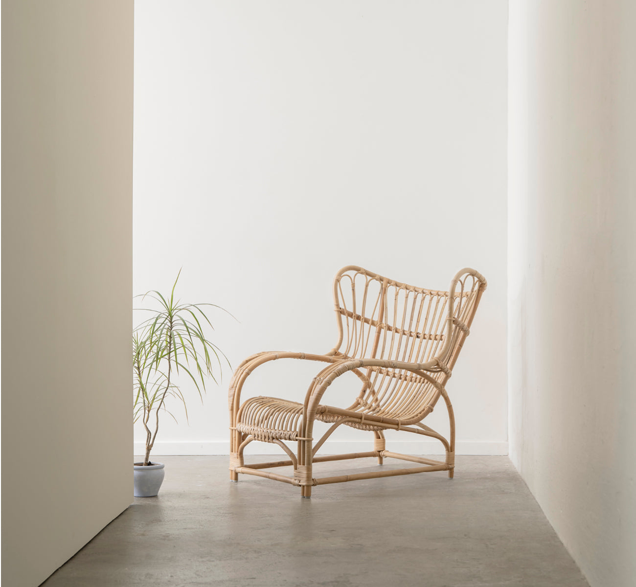 This is a lifestyle image of Teddy Lounge Chair in polished natural rattan. Placed on a herringbone floor by a curtained window with small mirror.