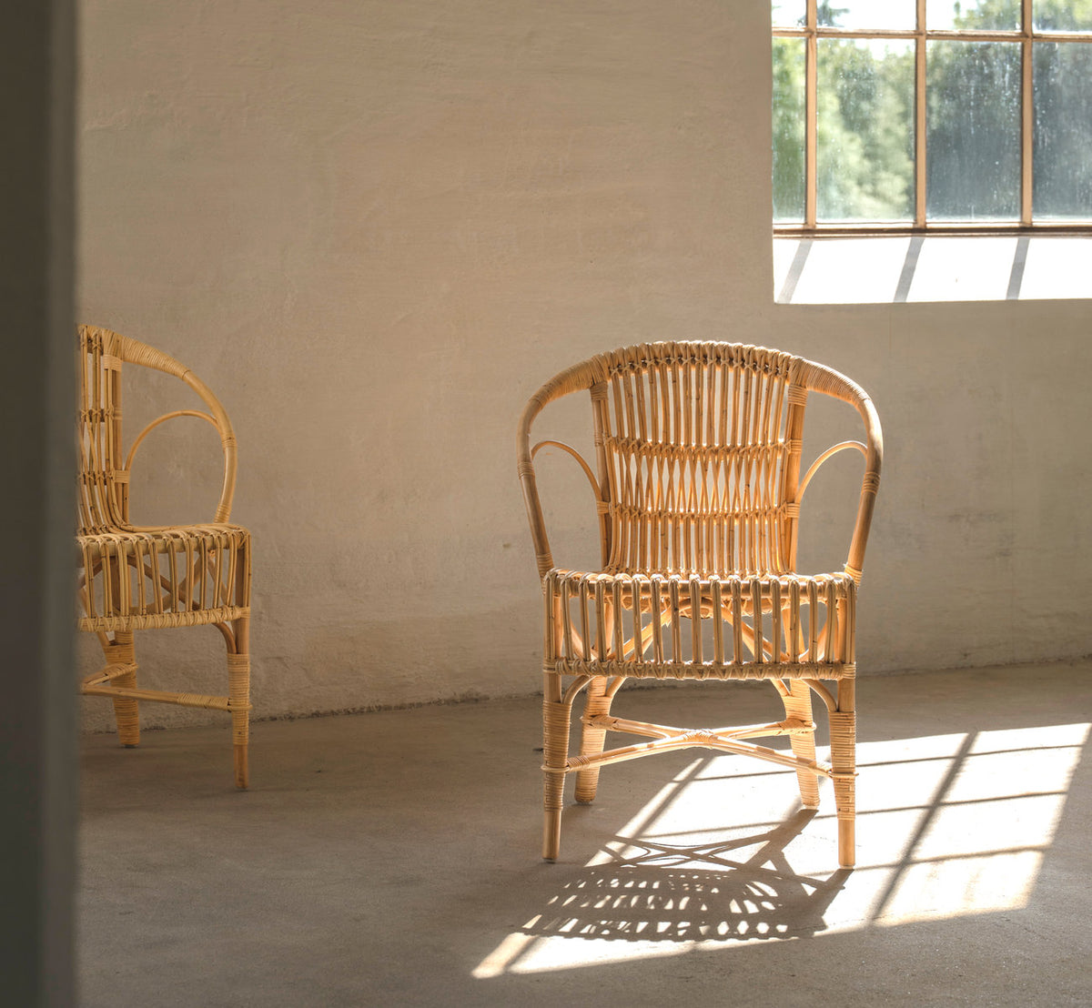 This is a lifestyle image of Robert Dining Chair in polished natural rattan. Pair in a sunlit room with concrete floor.
