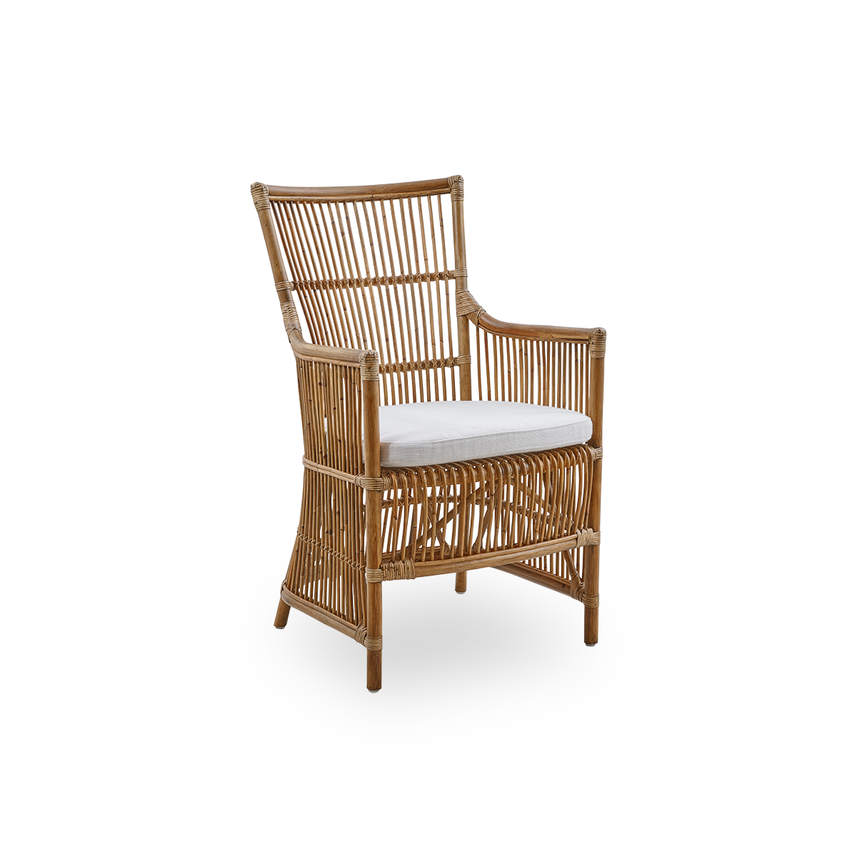 This is a close-up image of Davinci Dining Chair in antique rattan.