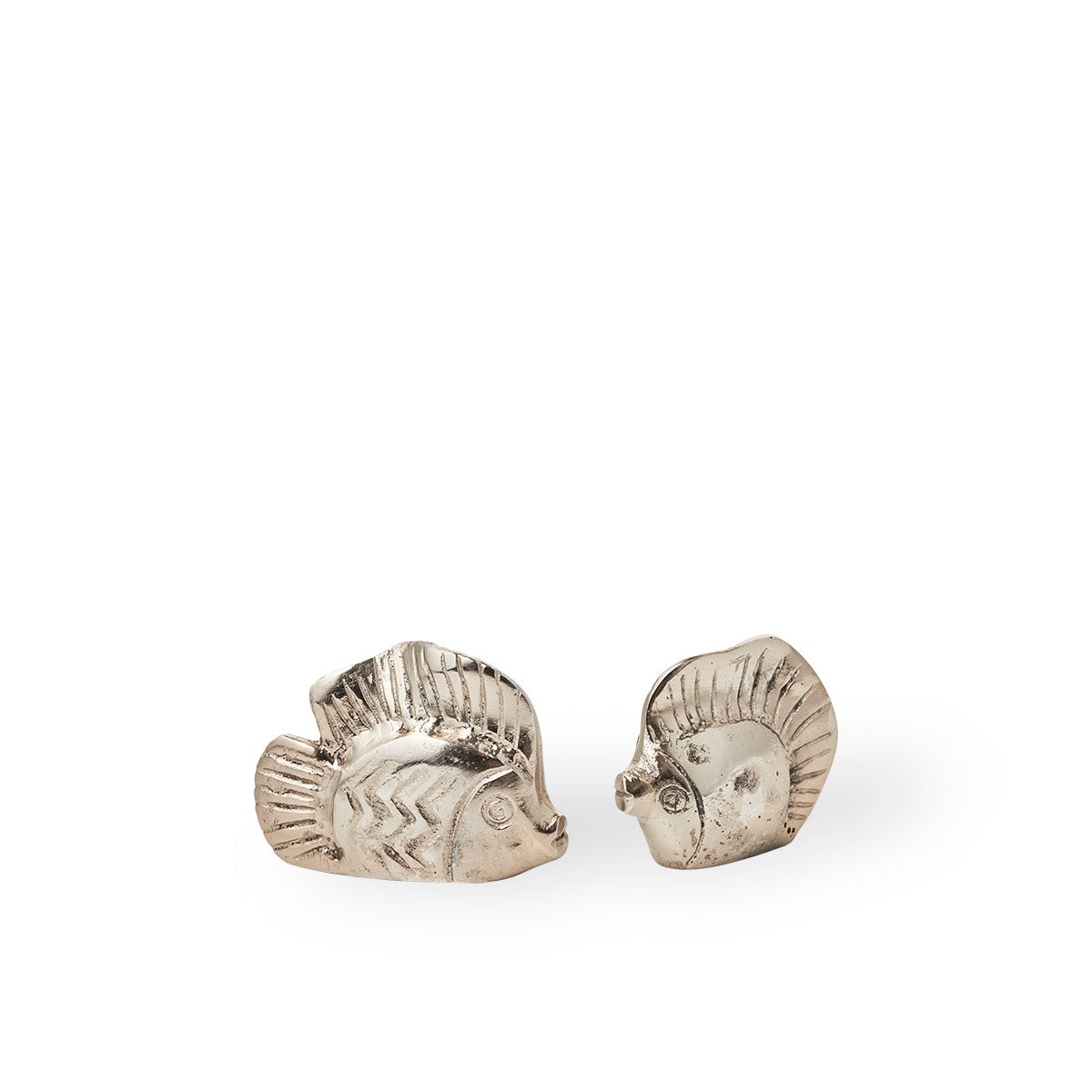 Friendly Fish | Small