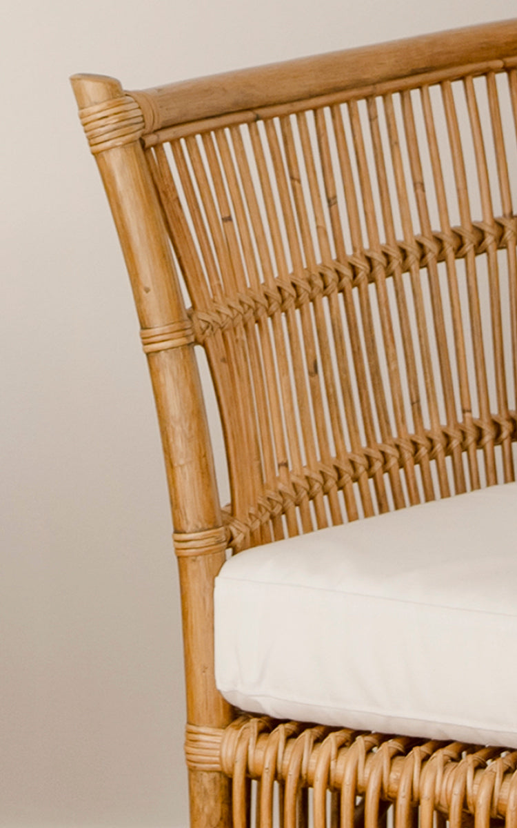 This is a close-up image of Donatello 2 Seater Sofa in antique rattan.