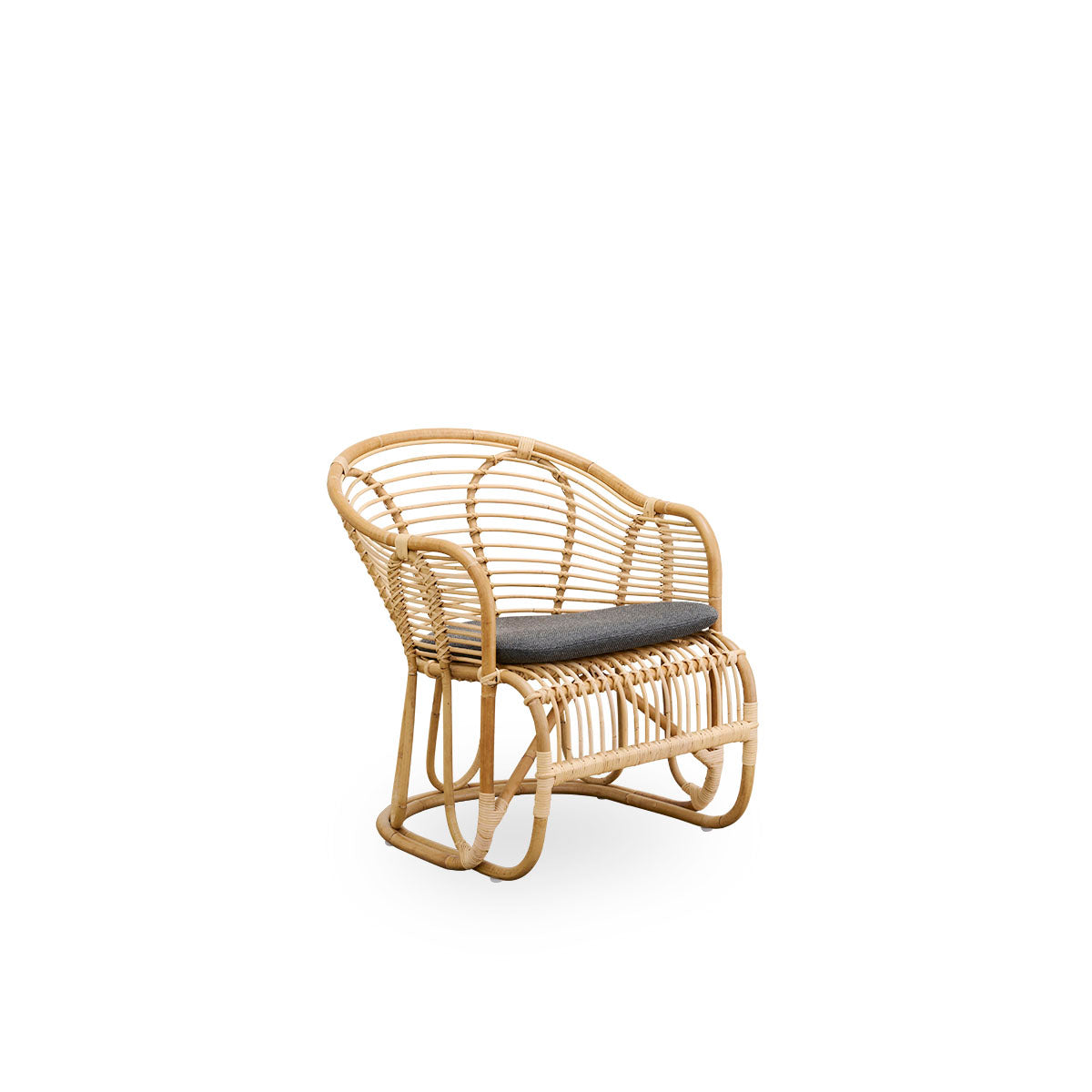 Swing Lounge Chair