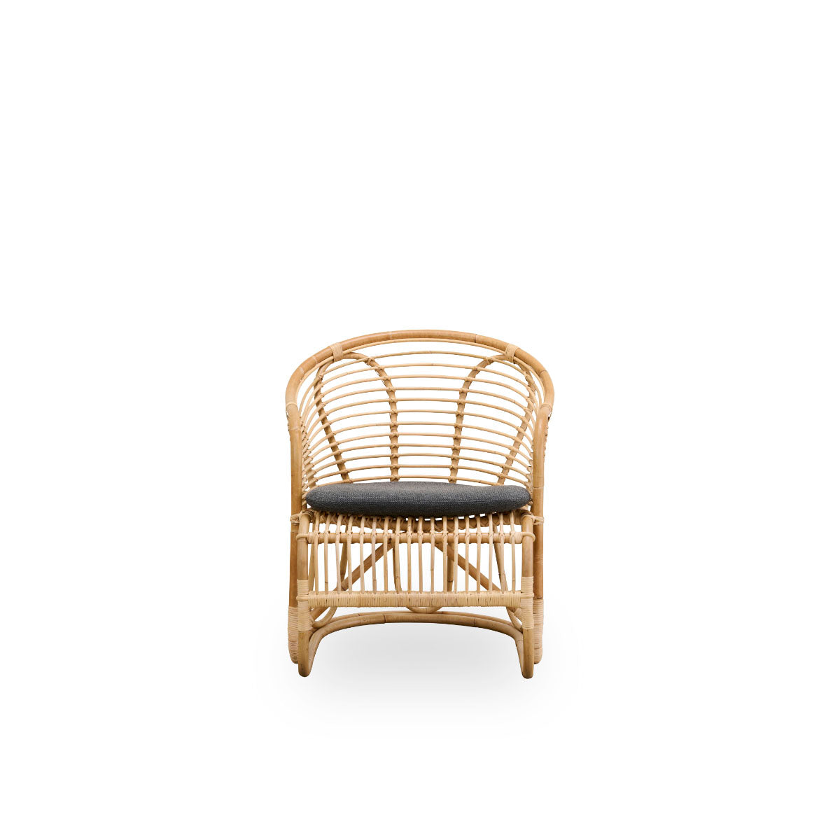 Swing Lounge Chair