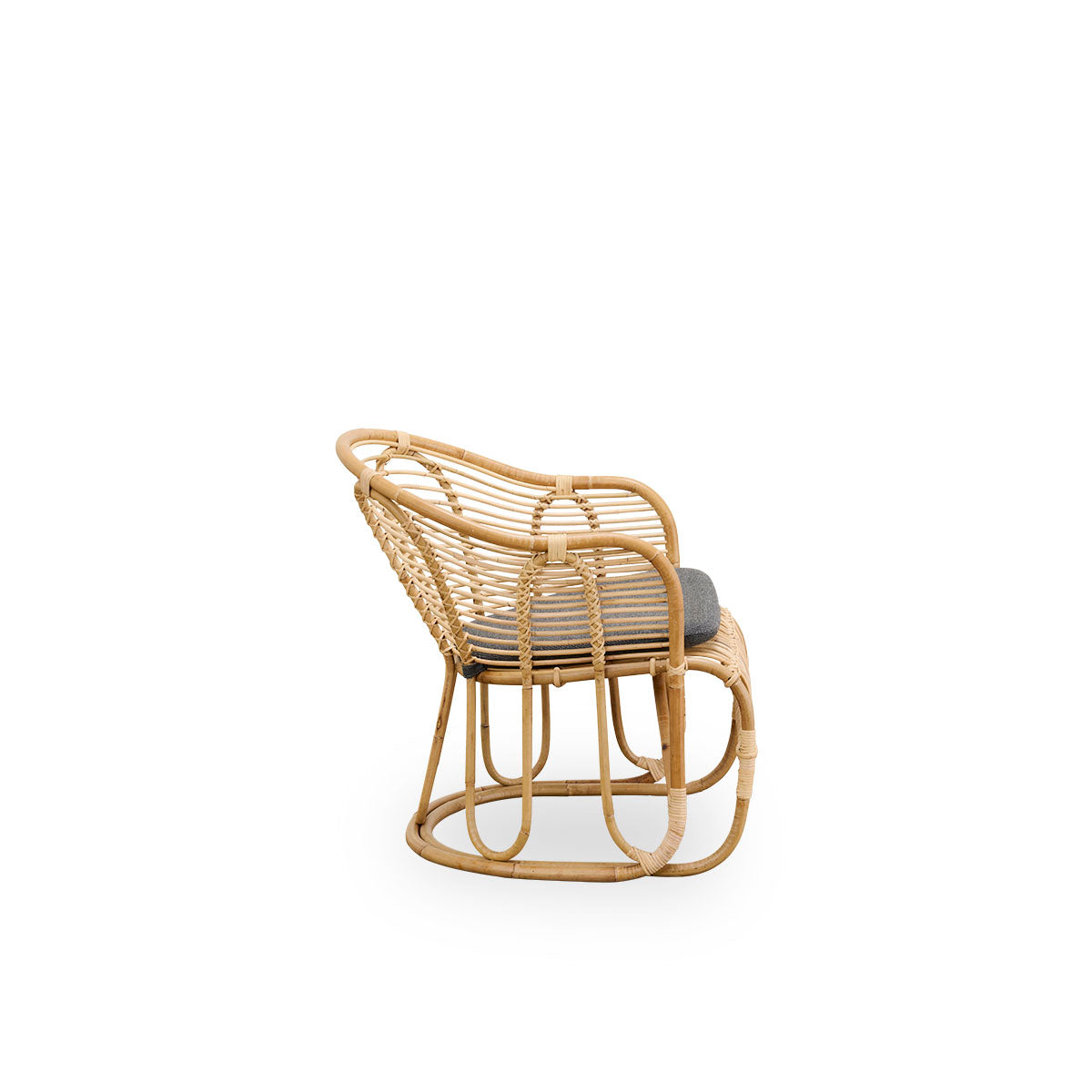 Swing Lounge Chair