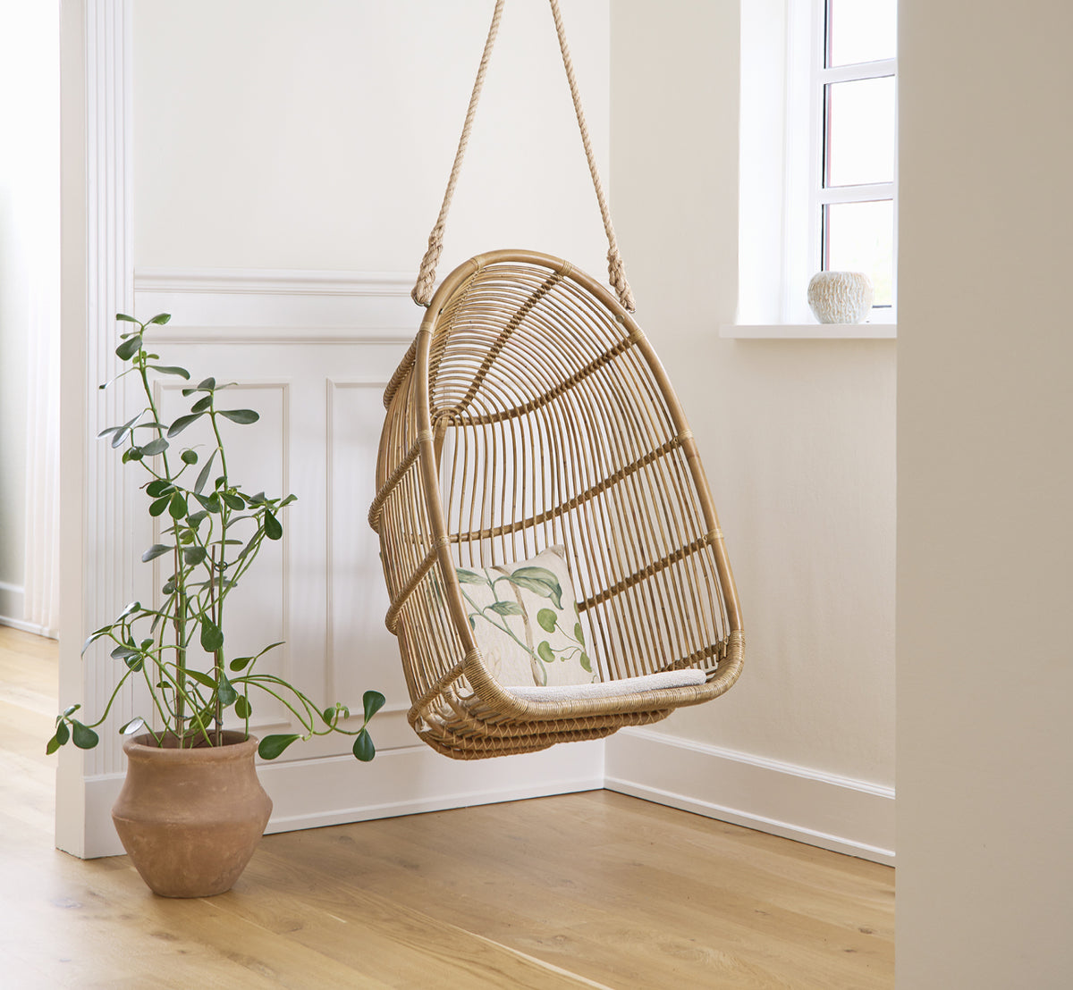 This is a lifestyle image of Renoir Hanging Chair in antique rattan. Hanging in a bright panelled room beside a potted plant.