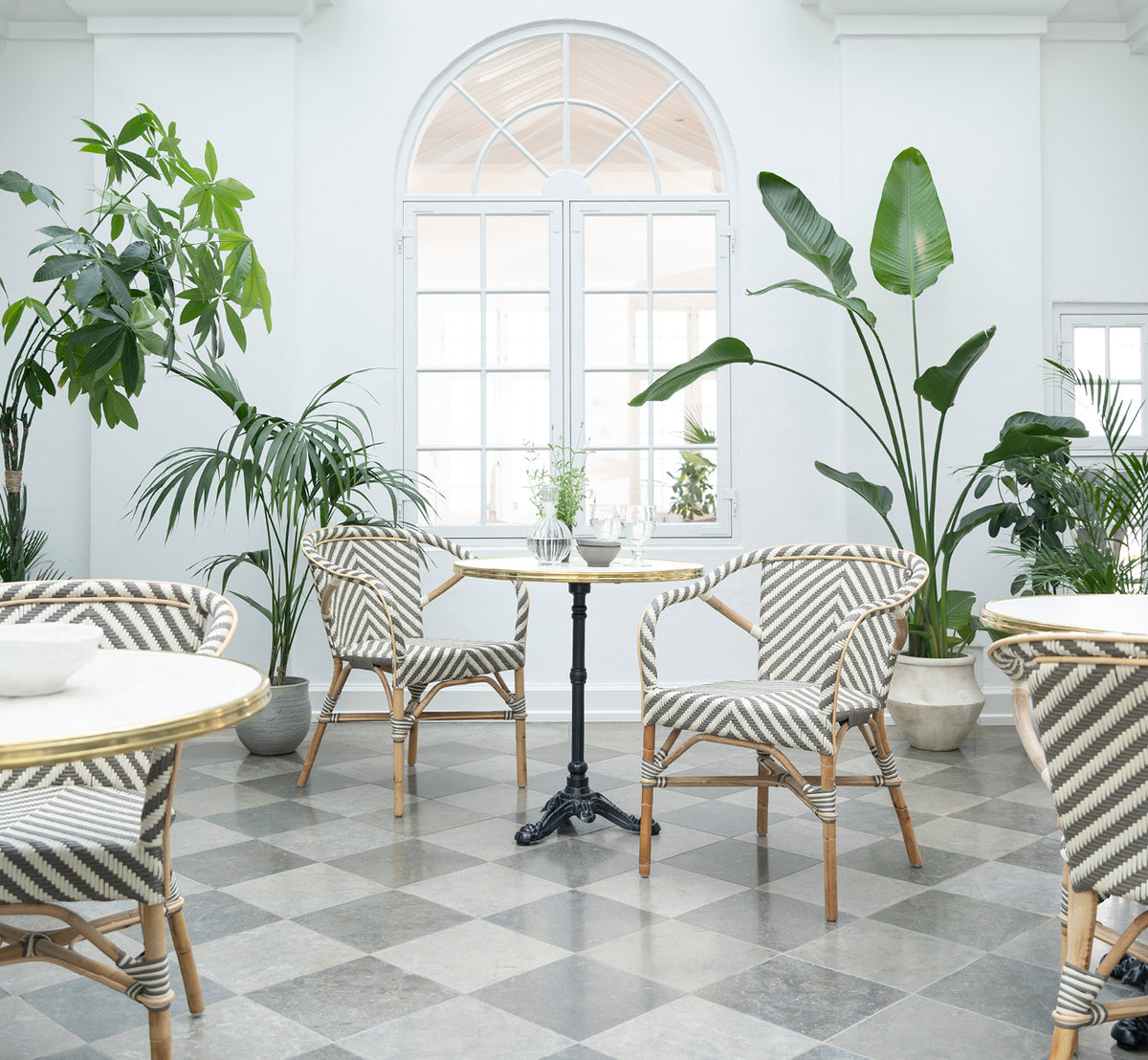This is a lifestyle image of Madeleine Dining Chair in chevron cappuccino ivory ArtFibre skin on rattan frame. Bright conservatory with plants.