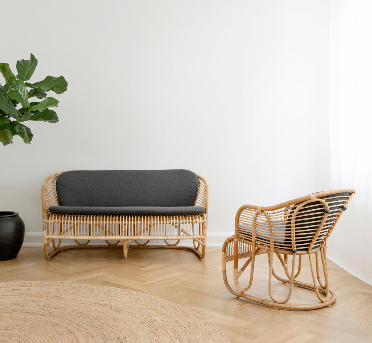 This is a lifestyle image of Swing Sofa in polished natural rattan. Placed on a rug beside a fiddle-leaf plant on parquet flooring.