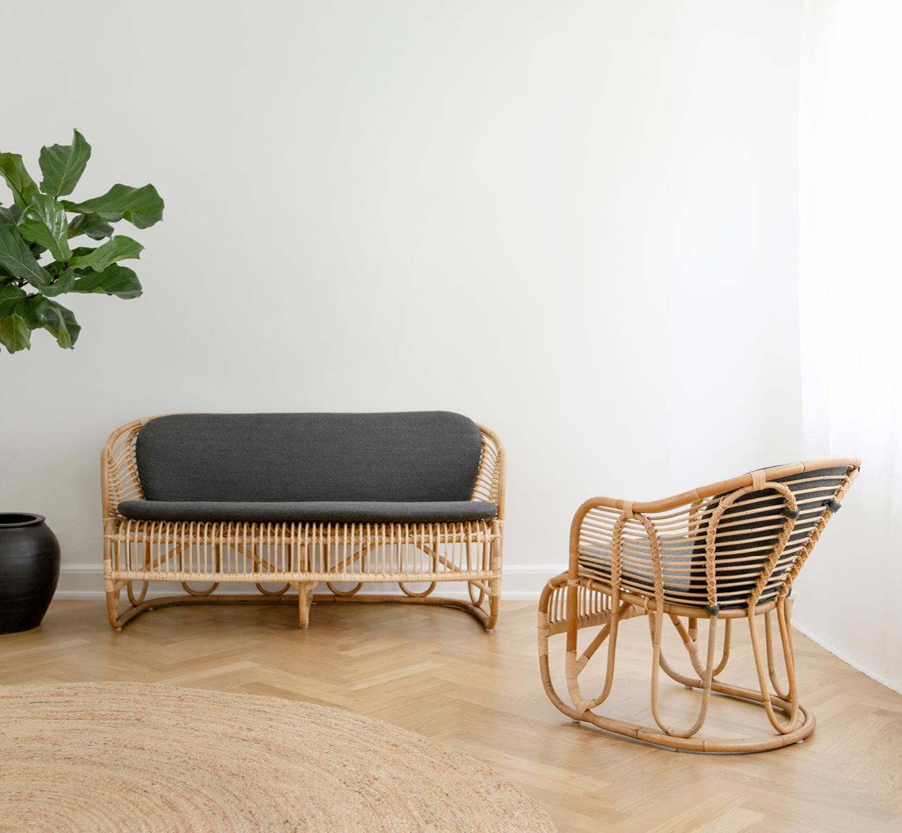 This is a lifestyle image of Swing Sofa in polished natural rattan. Placed on a rug beside a fiddle-leaf plant on parquet flooring.