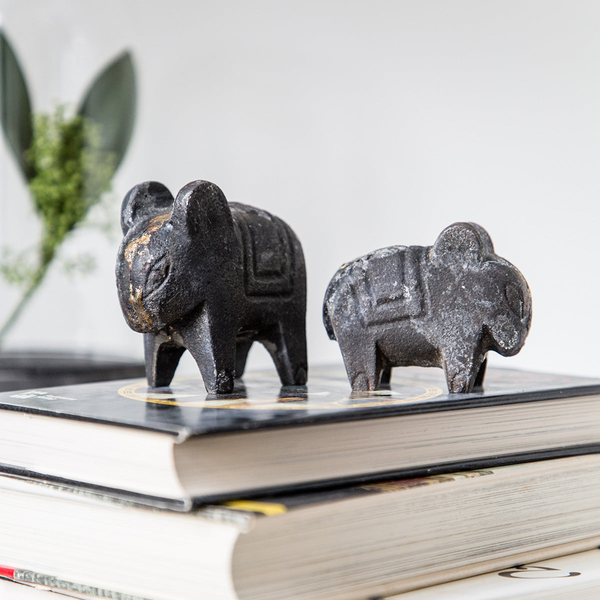 Healthy Animal | Large